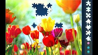 Solving Magic Jigsaw Puzzles 201 (280 pcs) Tulips screenshot 1