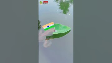 Flag on leaf boat experiment | boat+Ink+water | #shorts #short #experiment