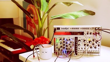 Ambient Minimal Eurorack | Qu-Bit Surface + Bloom | Relaxing Plucked Strings