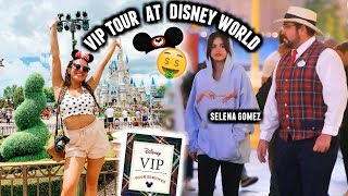 I went on the vip tour at disney world ...