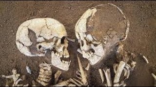 1,500-Year-Old Skeletons Found Locked in Embrace in Chinese