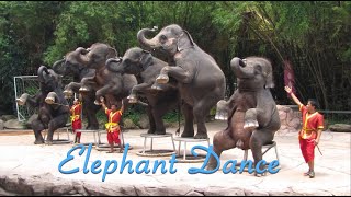 Elephant Dance