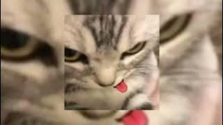 ratu meta - sakitnya luar dalam (sped up)