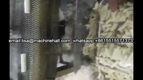 Fully Automatic Spring Roll Production Line|Commercial Lumpia Making Machine