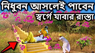 বৃন্দাবন নিধুবন আসলেই পাবেন স্বর্গে যাবার রাস্তা #vrindavan। brindabon, বৃন্দাবন দর্শন |dham sebak