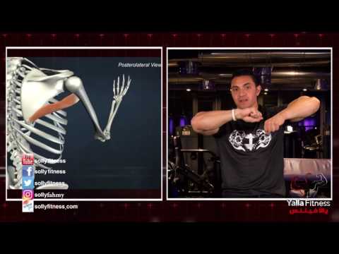 يالافيتنس مفاجأة من الكوتش اسلام فهمي التمرين السحري لتعريض عضلة الكتاف
