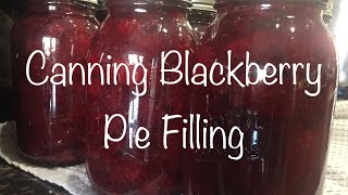 How to Make Oregon Blackberry Pie