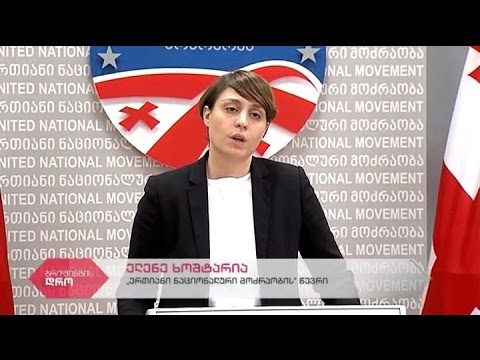 \"ერთიანი ნაციონალური მოძრაობის\" წევრის ელენე ხოშტარიას პრესკონფერენცია