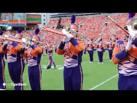 Avengers Show Tiger Band