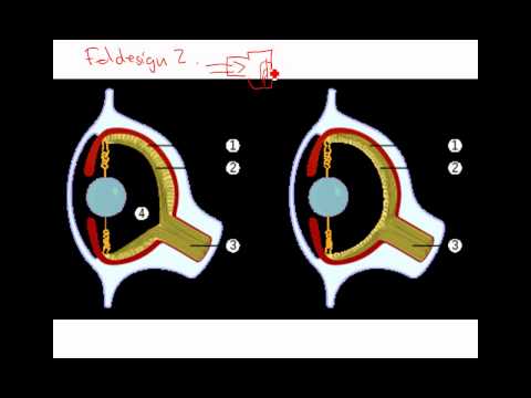 Video: Tidsresa. Översyn Av Evolutionsteorin - Alternativ Vy