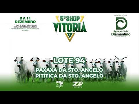 LOTE 94   GUID 768 781