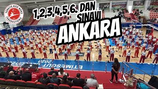 DAN SINAVI ANKARA - 1-2-3-4-5 ve 6. DAN SINAVLARI #siyahkuşak #kickbox #sınav  #dansınavı
