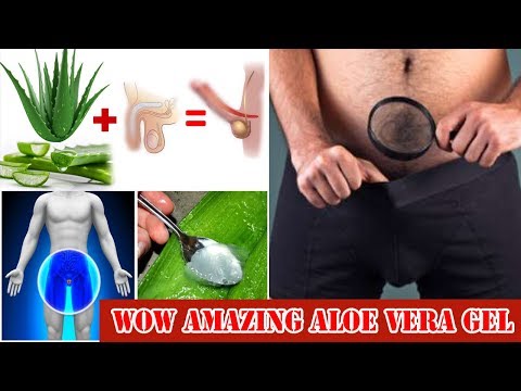 why-aloe-vera-and-lemon-important-for-men---aloe-vera-lemon-and-honey-recipe