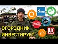 Во что я инвестирую свои накопления? Моя инвестиционная стратегия.