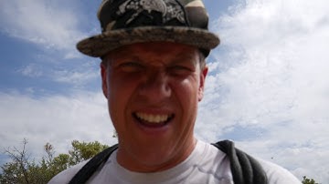 San Diego Gopher Snake. ( Pituophis catenifer annectens)