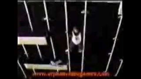 Donkey Kong Junior - Atari 2600 - Commercial - RetroUp.com