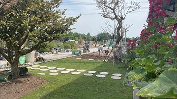 Hướng dẫn kỹ thuật trồng cỏ nhung nhật đúng cách | THẢM CỎ XANH