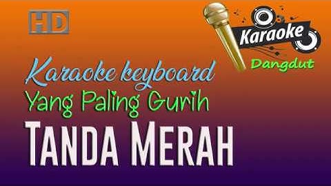 TANDA MERAH - Karaoke dangdut tanpa vokal - Elvy Sukaesih