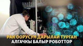 Рак оорусун дарылай турган алгачкы балыр роботтор