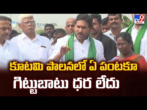 కూటమి పాలనలో ఏ పంటకూ గిట్టుబాటు ధర లేదు : YS Jagan Comments - TV9 - TV9