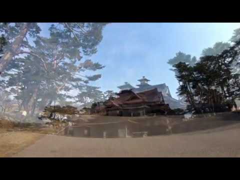 2020年3月8日 五稜郭公園 2