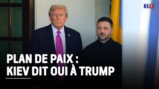 Guerre en Ukraine : Kiev accepterait le plan de paix, selon plusieurs médias américains｜LCI