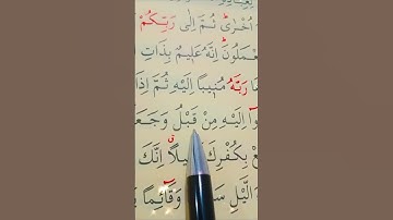سورة الزمر الأية 8 القارئ سعد الغامدي