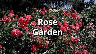 Rose Garden Tour