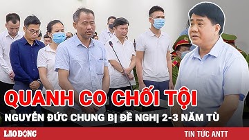 Vụ án cây xanh: Nguyễn Đức Chung bị đề nghị 2-3 năm tù, ‘giám đốc trốn nợ’ ngã khuỵu tại tòa | BLĐ