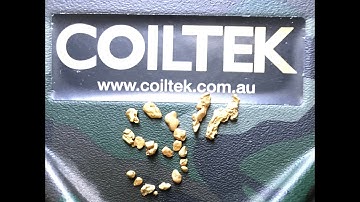 Coiltek 9" Elite  - Performance on gold