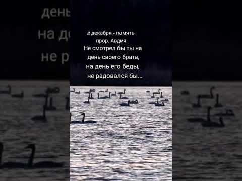 #Предсказание пророка Авдия