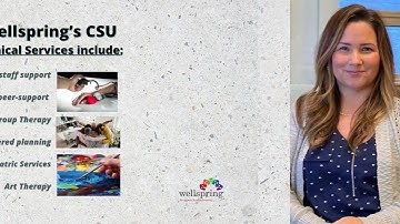 crisis stabilization program video