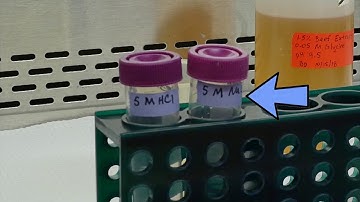 BMFS laboratory protocol - Preparing the workspace for elution