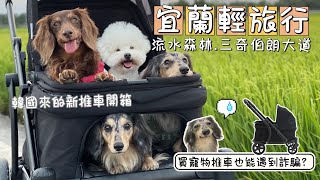 帶狗子們的宜蘭輕旅行&韓國寵物推車開箱買個寵物推車還能遇到詐騙 #寵物 #詐騙