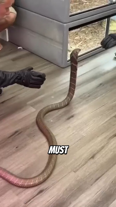 This Is So Very Dangerous