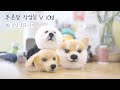 푸른달 작업실 v log #1 일상의 회복 | 공방 브이로그 | 산책로그