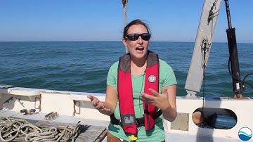How do ocean scientists collect high-quality data?