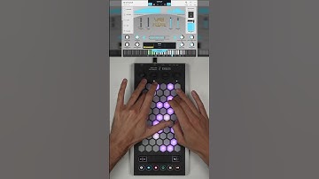 Exquis - @AudioModeling SWAM "VariFlute" #swam #mpe #flute #midi #plugin #keyboard #chinese