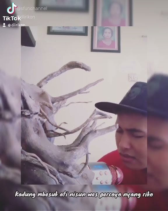 reff TAU TATU - Anggun Pramudita | by. Saipluu #akustik #Saipluu #fyp #lirik #viral #trending
