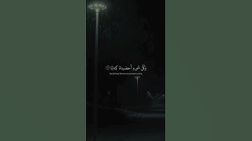 وكذبوا بآياتنا كذا با وَكُلَّ شَيْءٍ أَحْصَيْنَاهُ كِتابًا/ "سورة النبأ القارئ  عبد الرحمن مسعد.