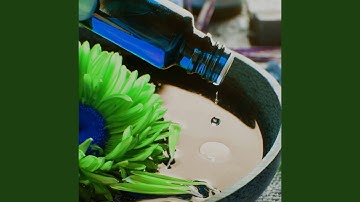 Breathtaking Backdrops for llustrious Shapes