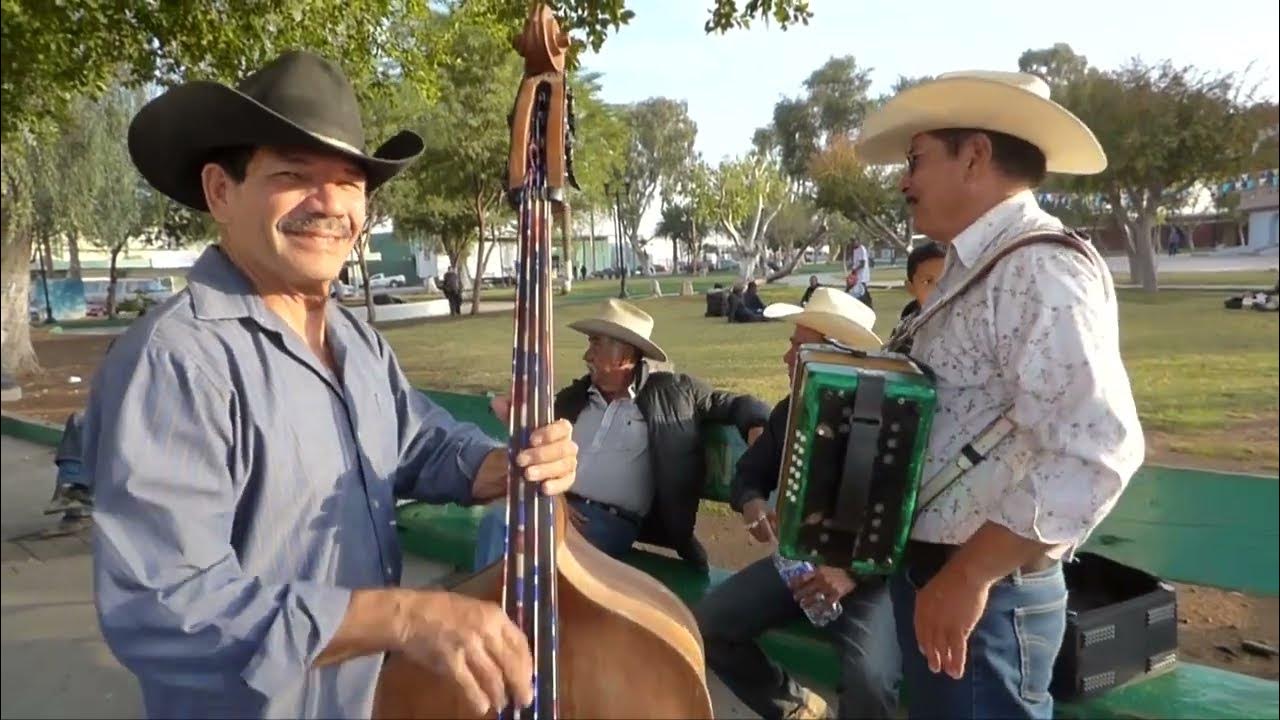Palomazo Norteño. Serie "Urbano, Rústico y Artesanal...y a veces Casual