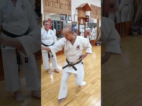 Sai Kata Akamine Sensei Ryukyu Kobudo Shimbukan Okinawa Tomigusuku Sensei Hiroshi Akamine