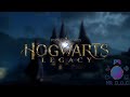 НЕПРОСТИТЕЛЬНОЕ ЗАКЛИНАНИЕ ► Hogwarts Legacy ► СТРИМ #6   #mrd_o_c #hogwartslegacy #ХогвартсНаследие