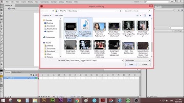 how to import video and sound Adobe flash