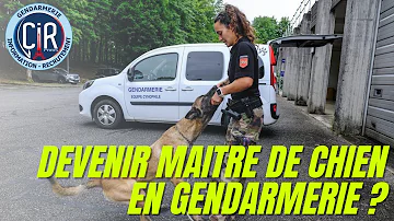 Quelle Etude pour faire maitre chien dans la police ?