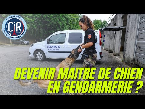 Vidéo: La vie dans le ring: ce que c'est que d'être un maître-chien professionnel