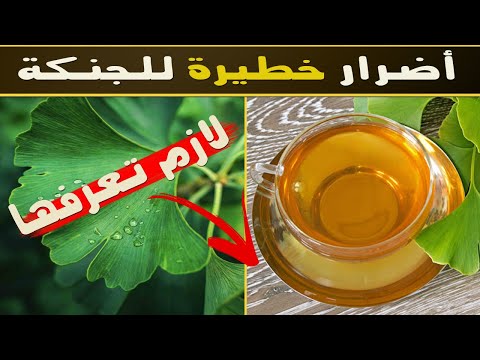 ما هي اضرار عشبة الجنكة