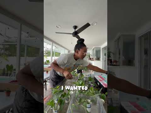 📦 From Cuttings