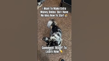 Just Follow a Proven Process to Make Daily Pay- No Tech Skills Needed!